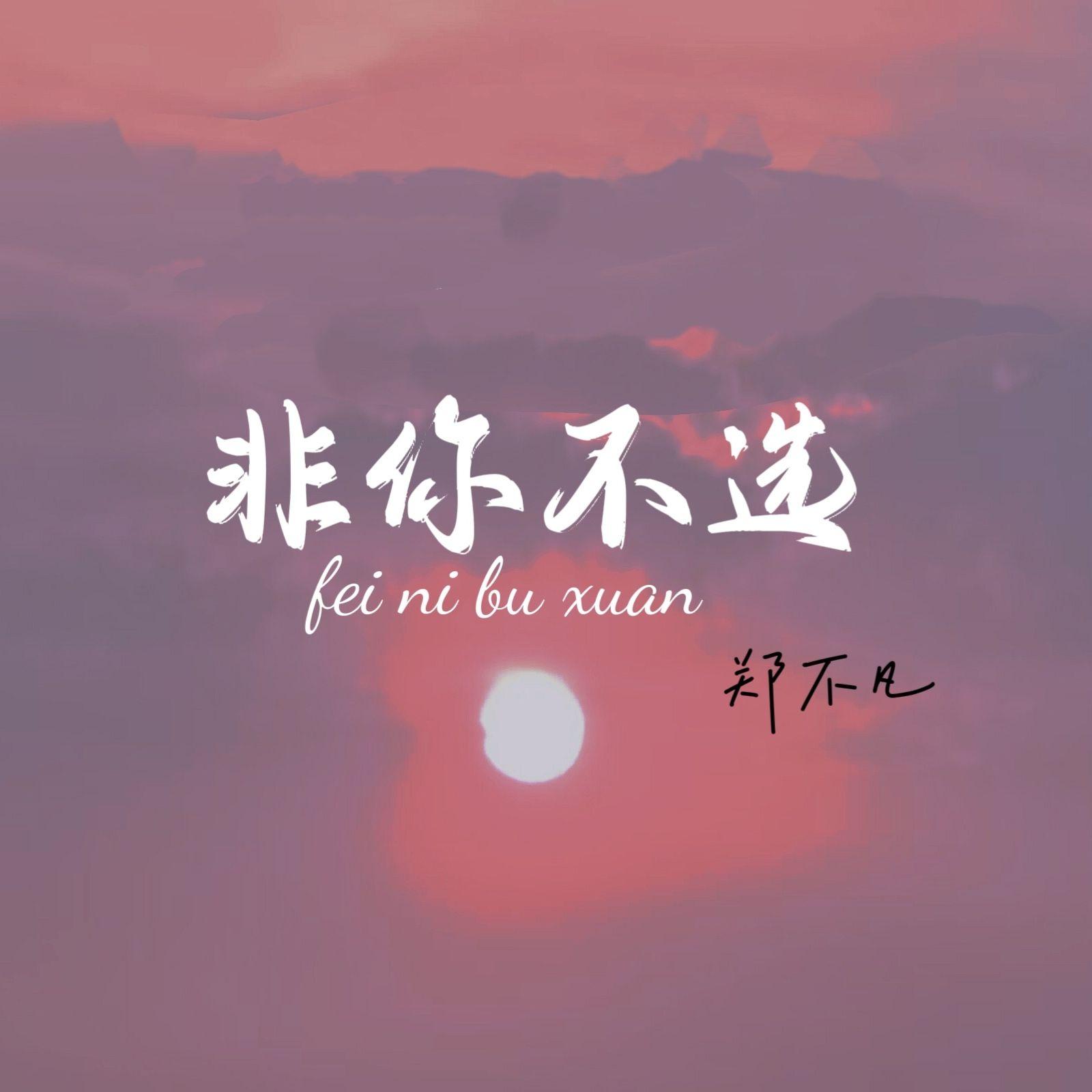 非你不选 - 郑不烦封面