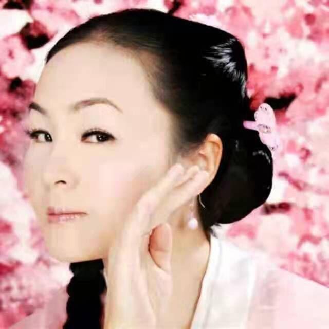 梨花院落溶溶月 - 繁花笼雾封面