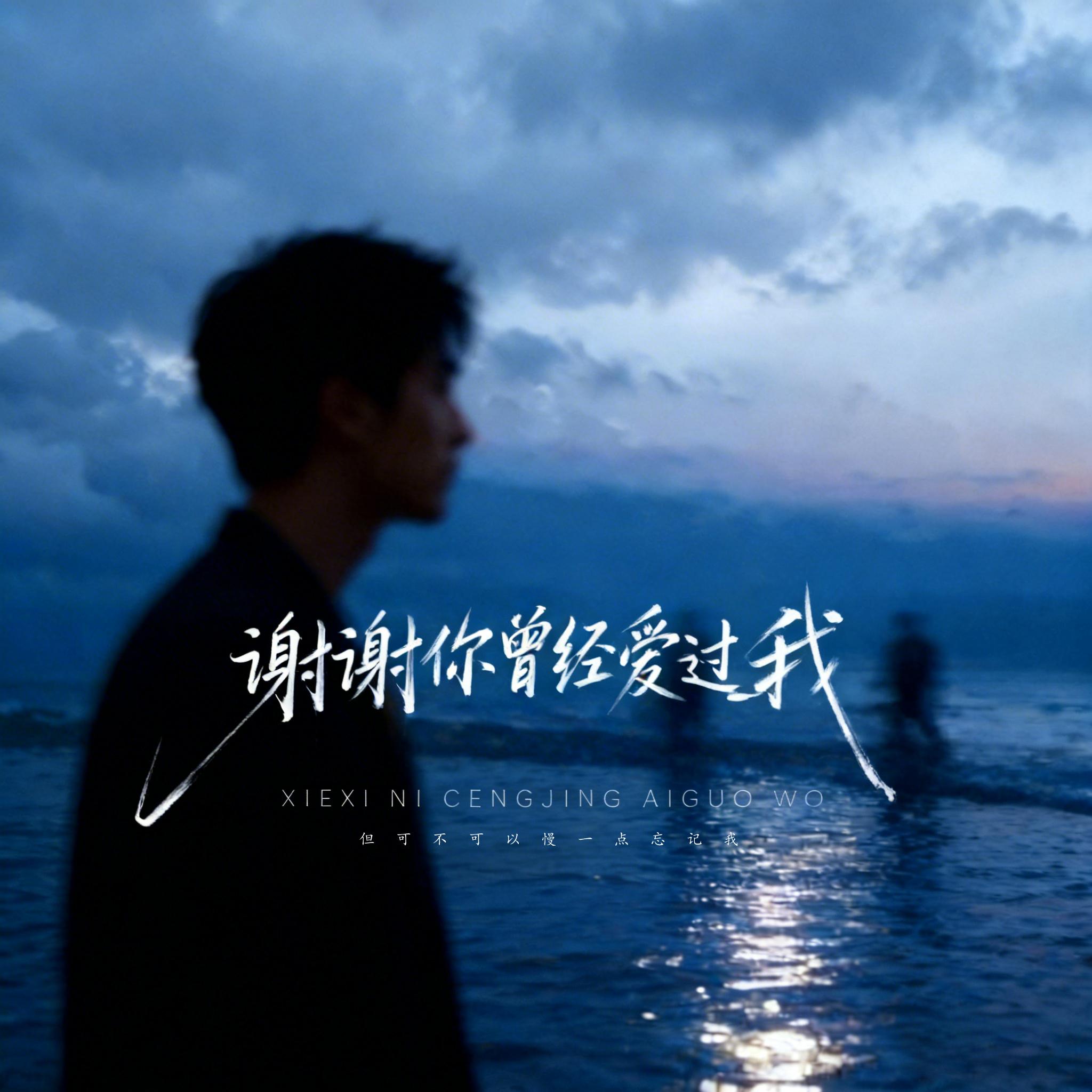 谢谢你曾经爱过我封面