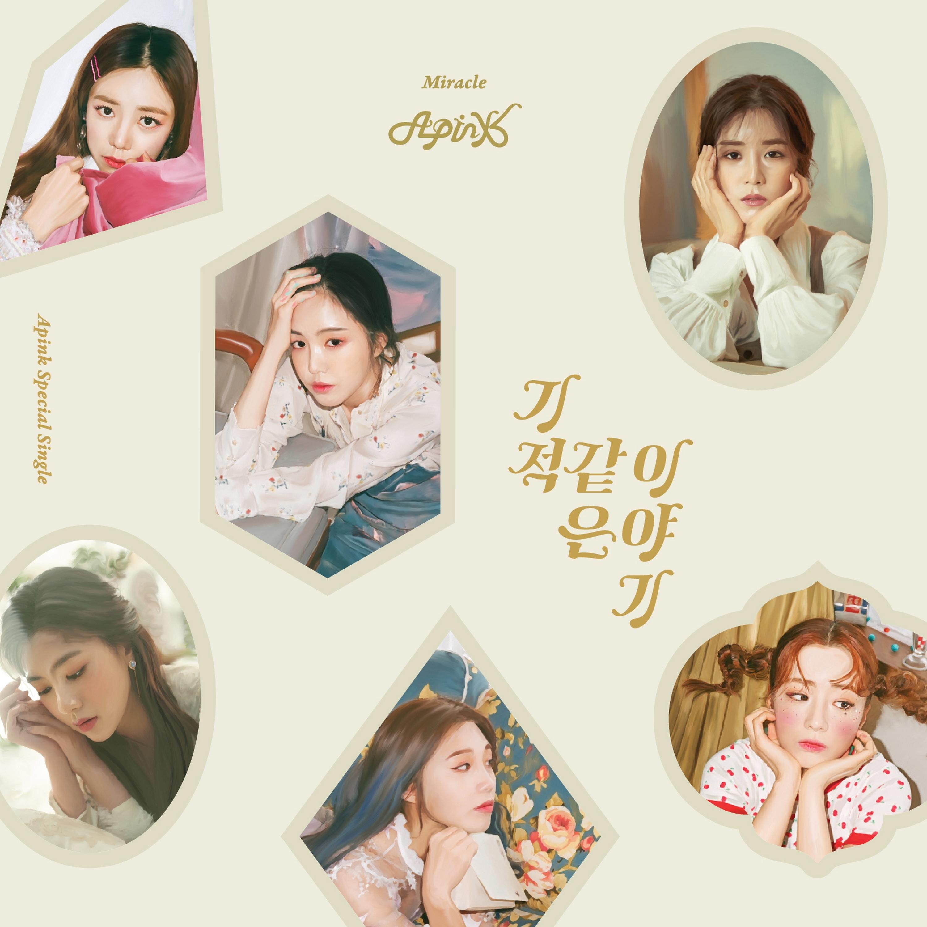 APINK ·《기적 같은 이야기》