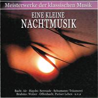 Meisterwerke der Klassischen Music: Eine kleine Nachtmusik