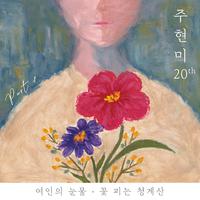 주현미 20th : PART 1/6
