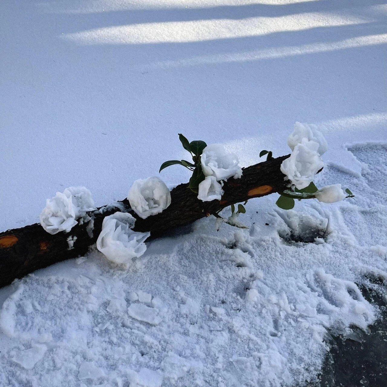 燃向『写作业/刷题/学习』可以听的歌曲