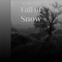 At the First Fall of Snow