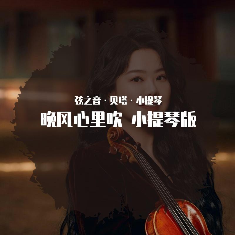 小提琴晚风心里吹（翻自 弦之音•贝塔•小提琴） - 弦之音•贝塔•小提琴封面