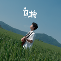 自转专辑