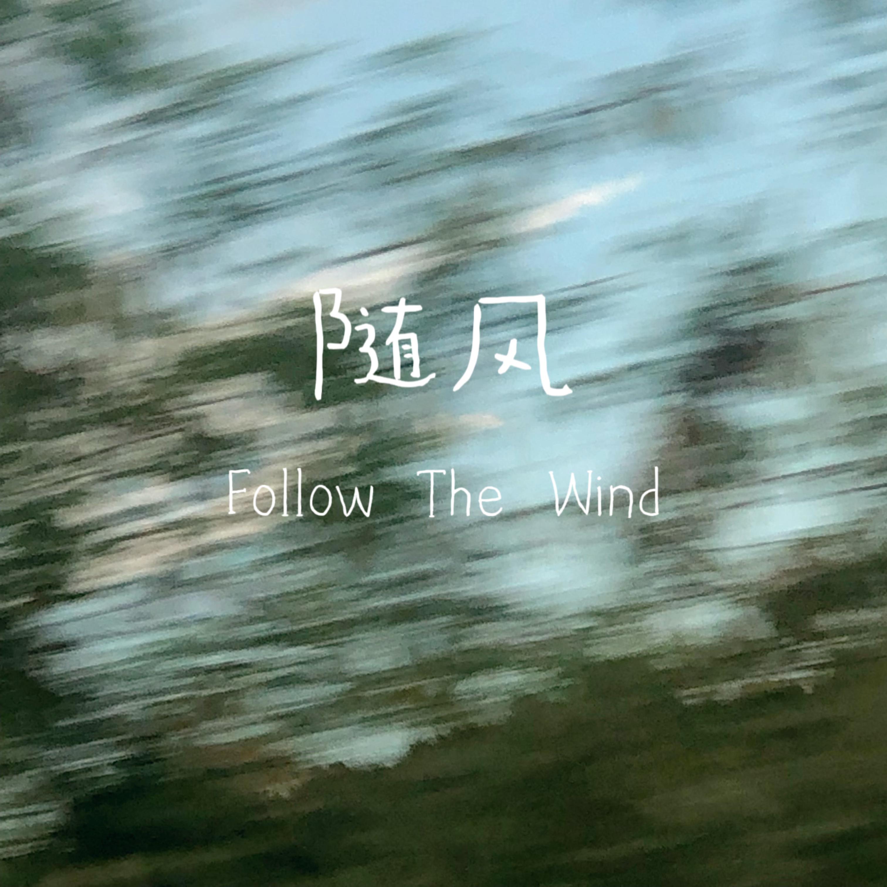 随风 （Follow The Wind）