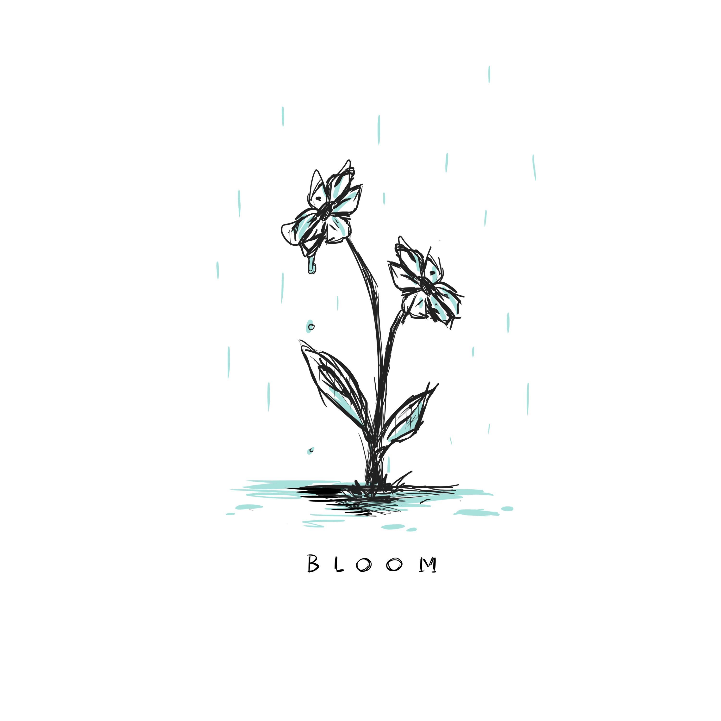 bloom
