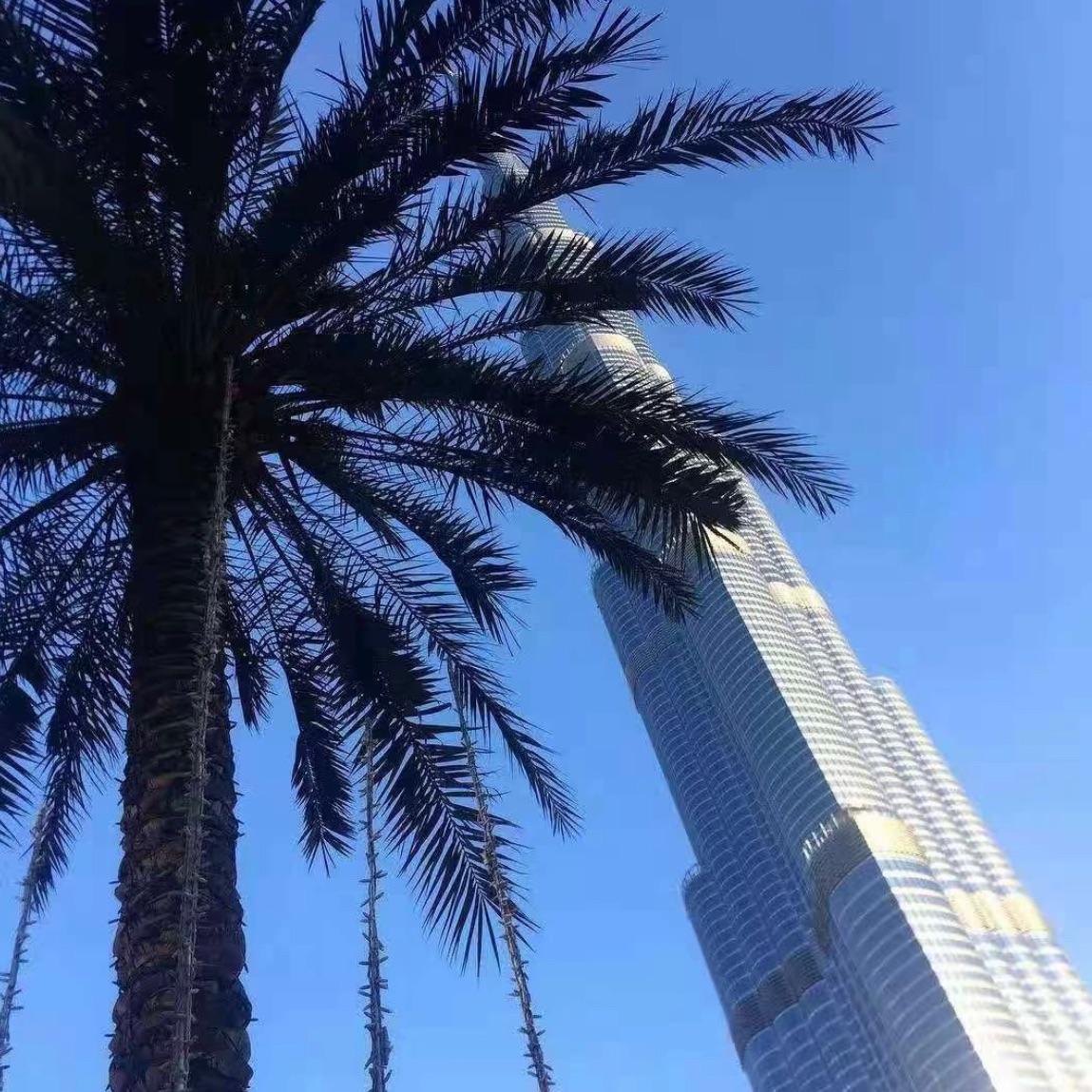 天若有情 (Dj抖音咚鼓版)