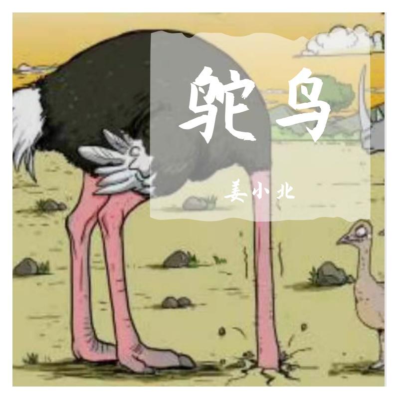 鸵鸟 伴奏 - 姜小北封面