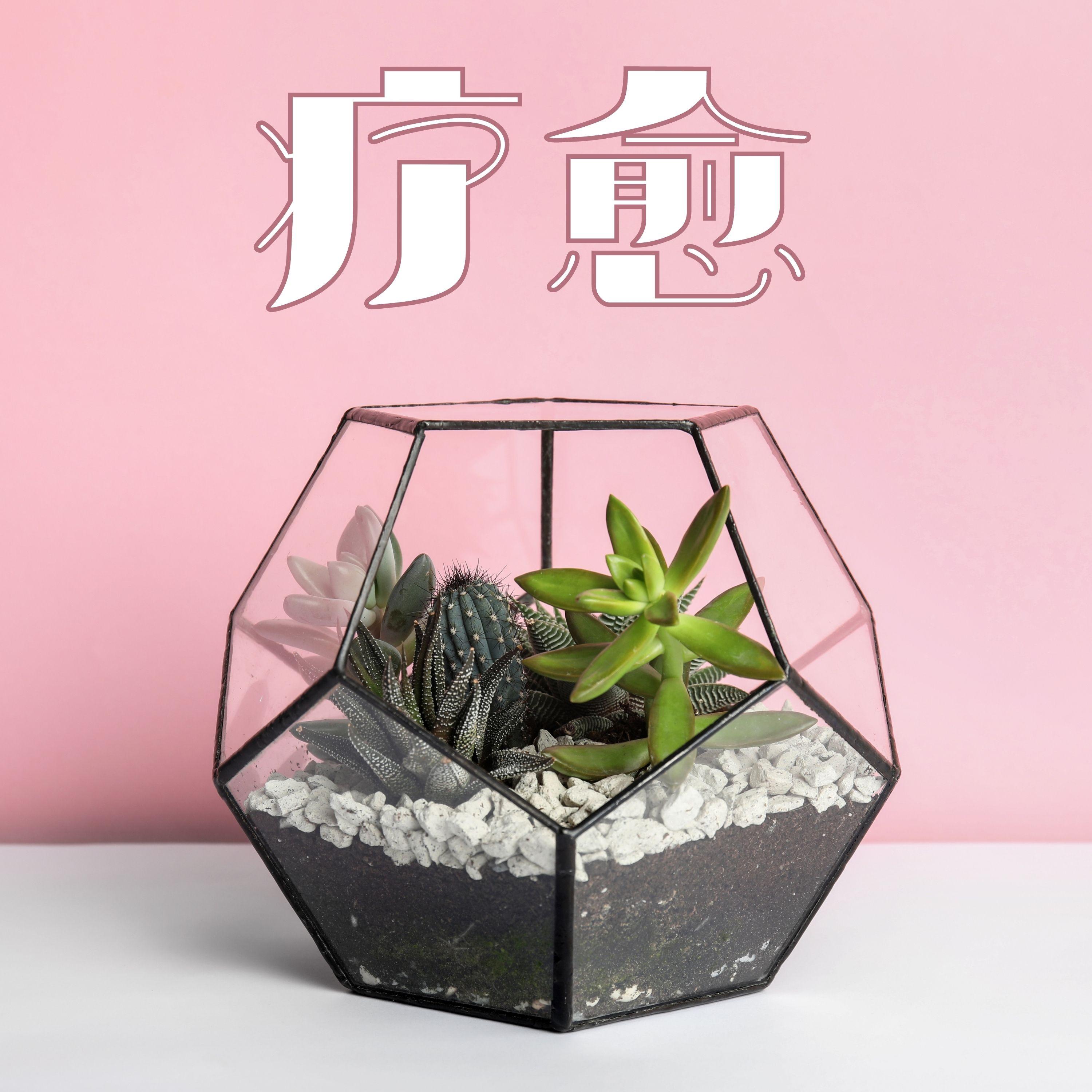 没想到效果封面