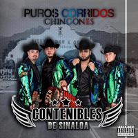 Puros Corridos Chingones