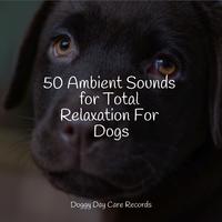 50 Ambient Sounds for Total Relaxation For Dogs