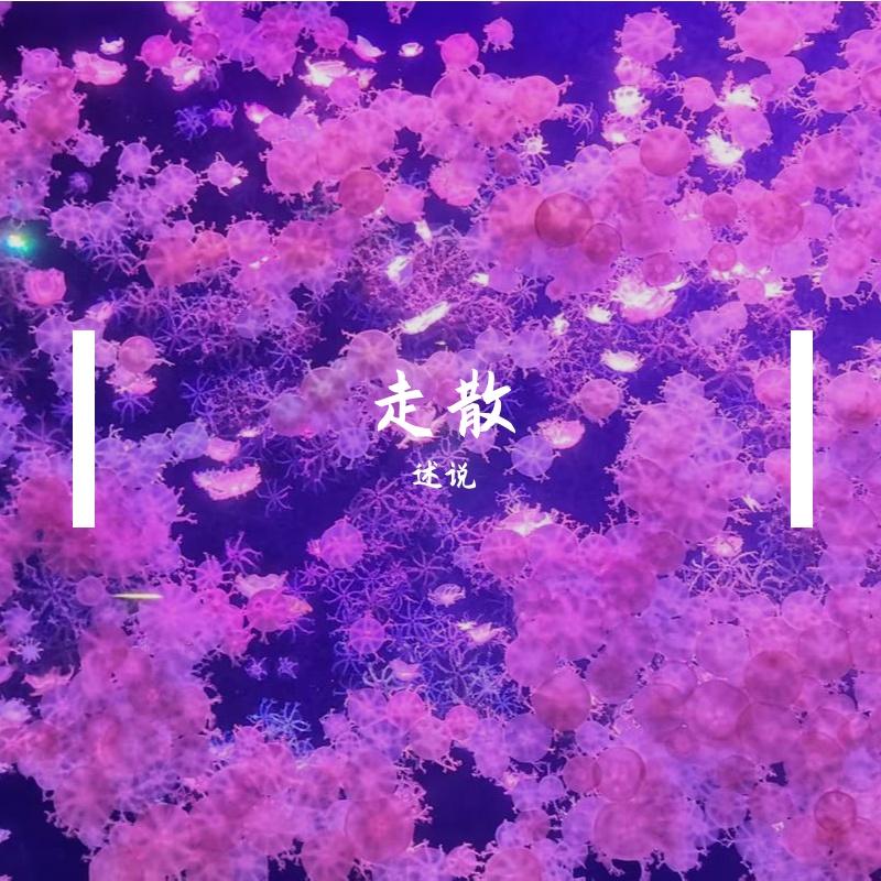 大傻瓜封面