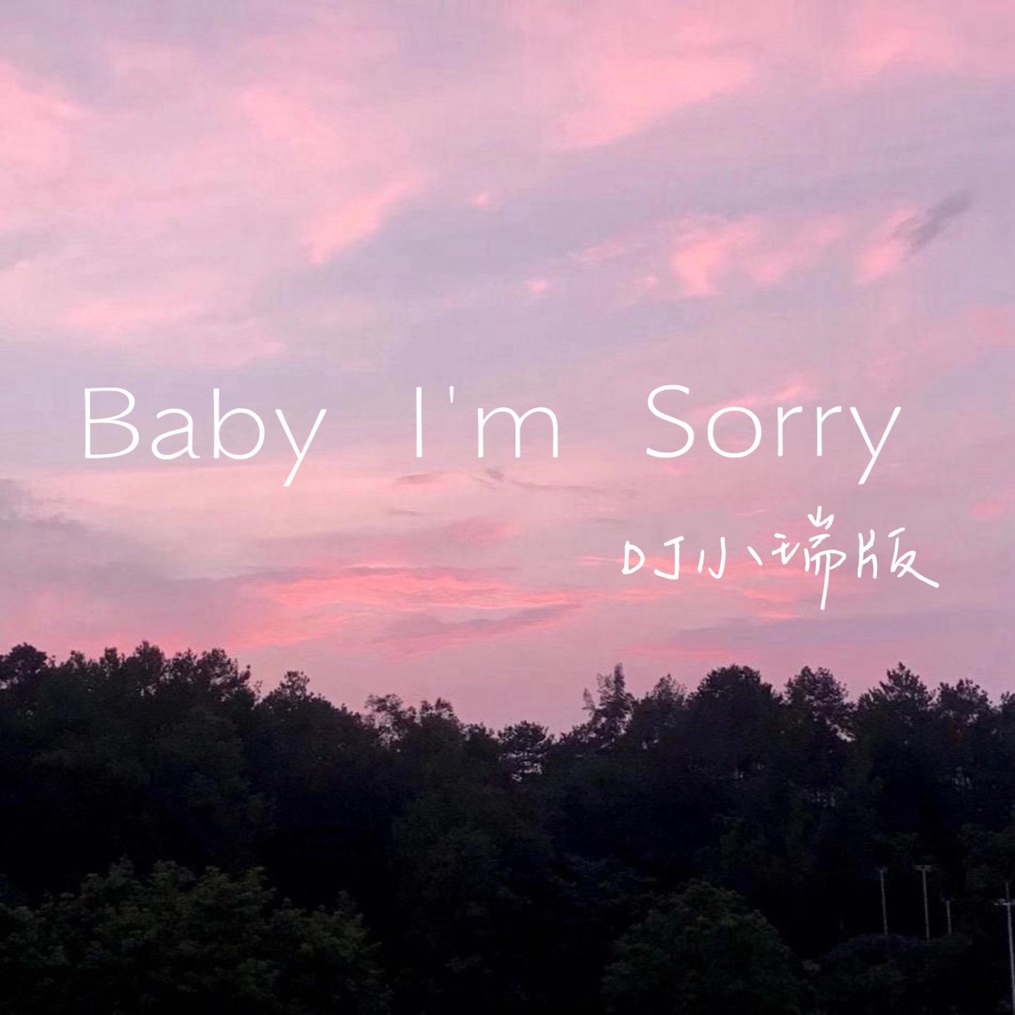 Baby I'm Sorry（DJ小瑞版）