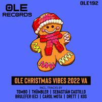 Ole Christmas Vibes 2022 VA