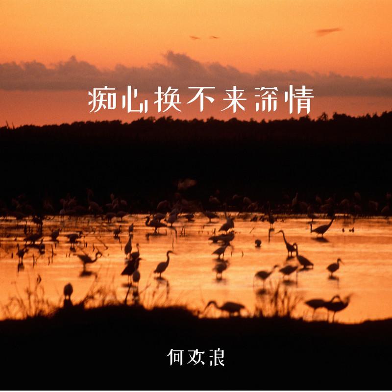 痴心换不来深情封面