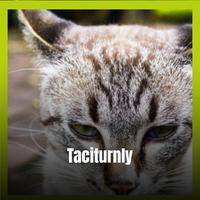 Taciturnly