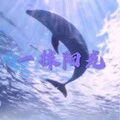 一曲相思 (DJ版) - 撒旦、7妹封面
