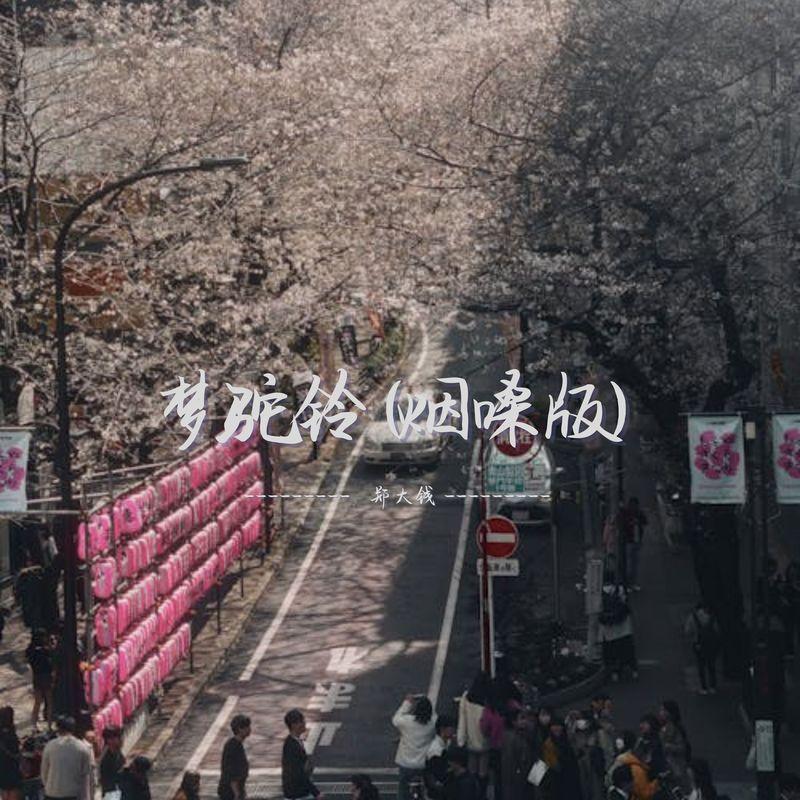梦驼铃 (烟嗓版)封面