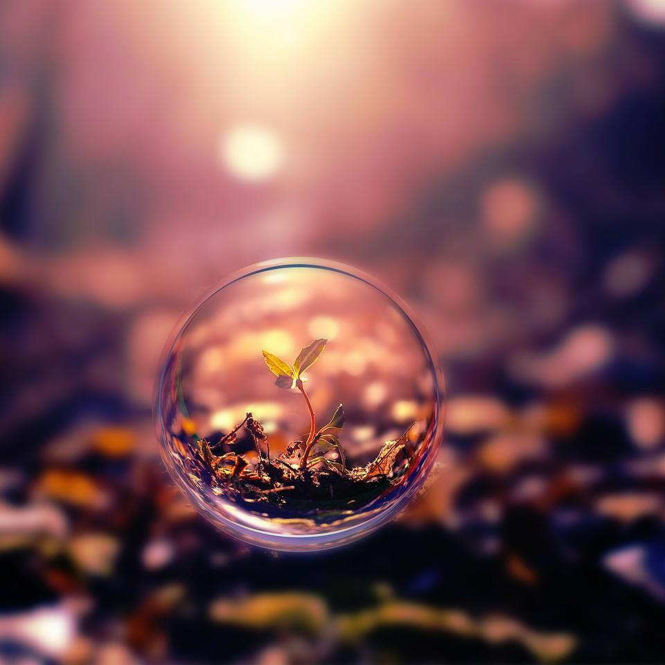 α·Pav四季，自然之音 收录