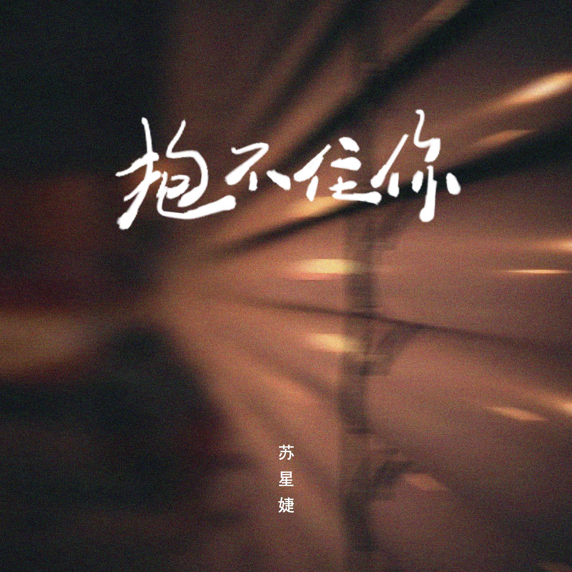 抱不住你封面