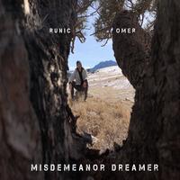 Misdemeanor Dreamer