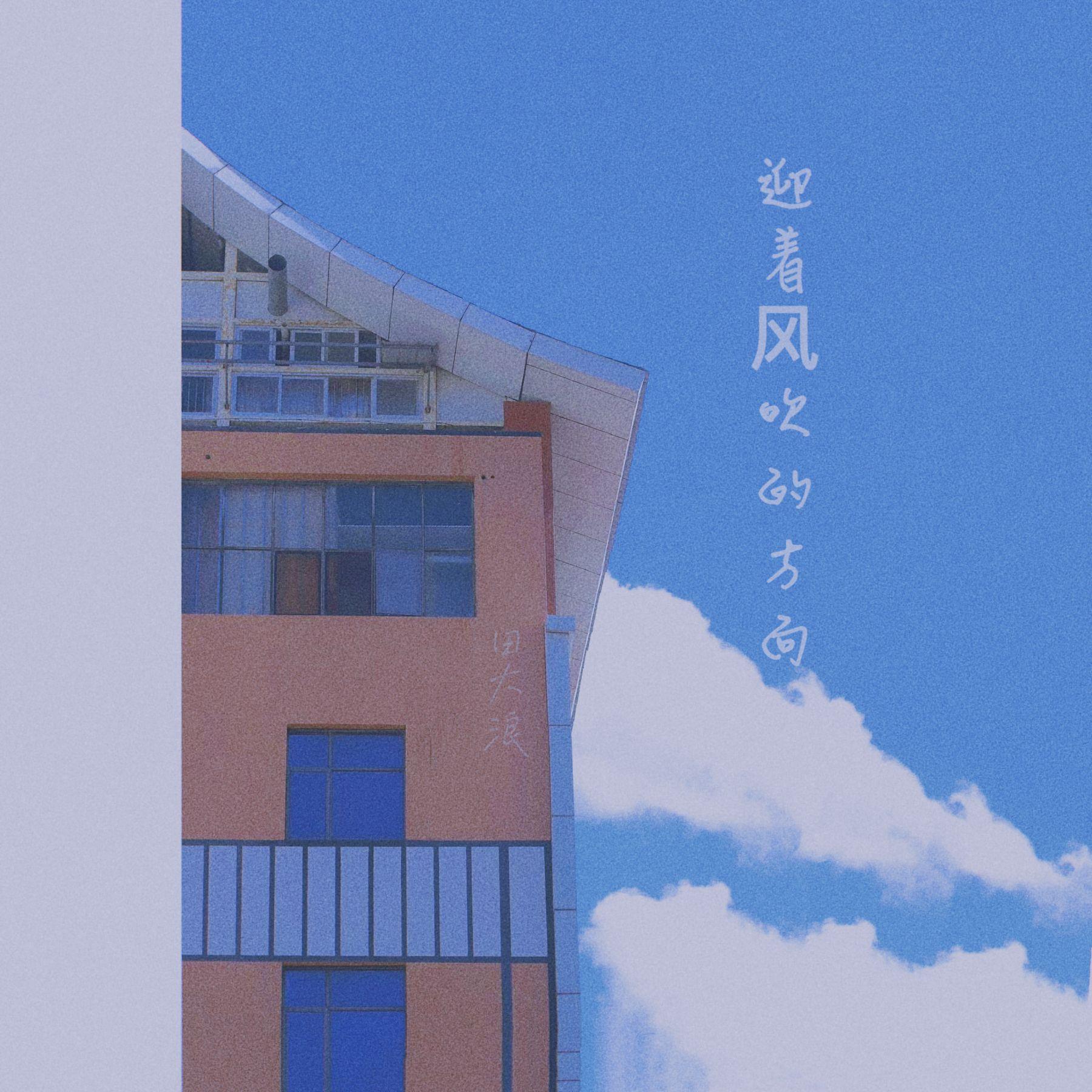 天天年年封面
