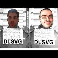 DLSVG