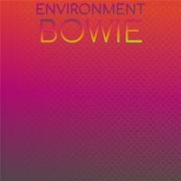 Environment Bowie