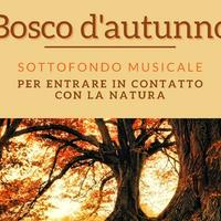 Gemma Reale资料,Gemma Reale最新歌曲,Gemma RealeMV视频,Gemma Reale音乐专辑,Gemma Reale好听的歌