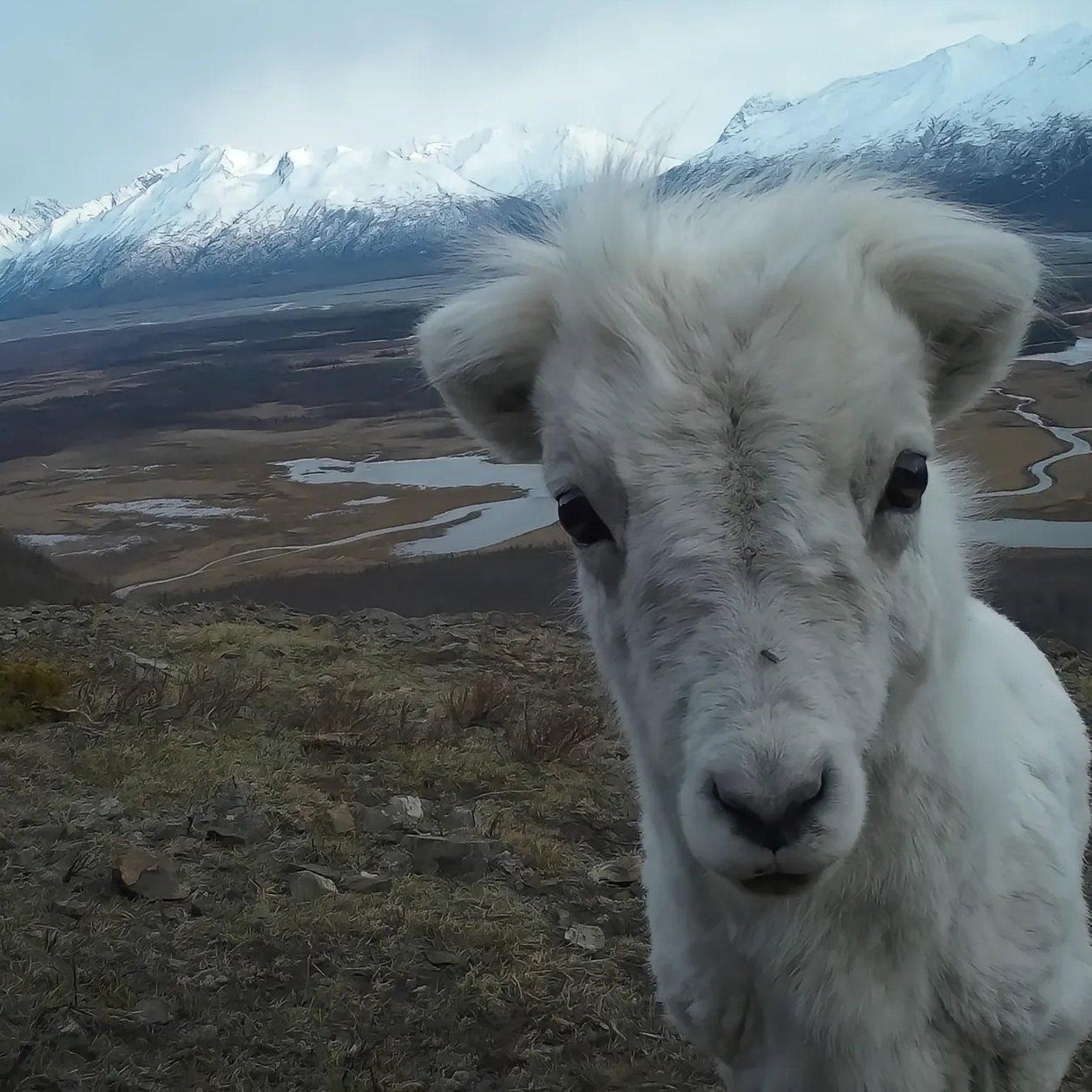 美式 练球 练球时听的音乐