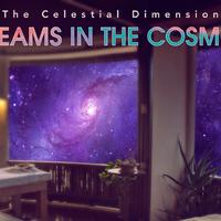 The Celestial Dimension