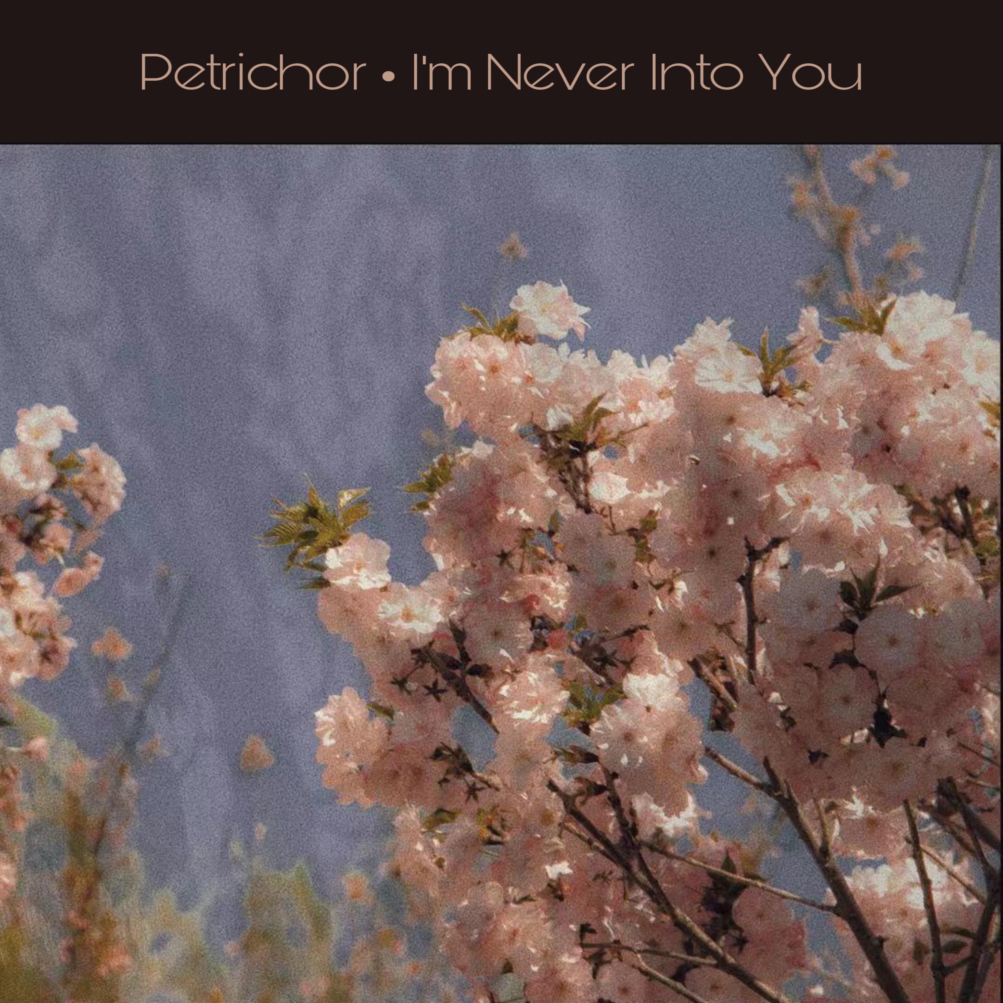 I'm Never Into You_后浪漫Petrichor_I'm Never Into You | 在线播放_I'm Never Into You歌词_I'm Never Into You下载 | 网易云音乐