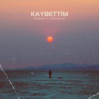 KAYBETTİM (feat. Ertekin)