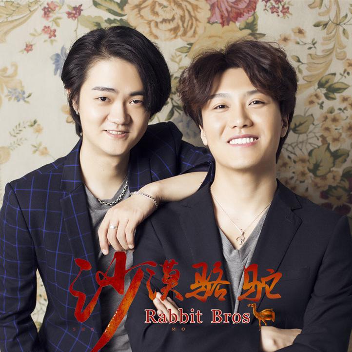 展展与罗罗-沙漠骆驼(DJ晓凯 Remix)伴奏（DJ晓凯_Official remix）