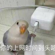 -沿途不枉为少年-