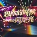 想你的时候问月亮(DJ版) - DJ九零、梅朵封面