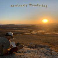 Aimlessly Wandering