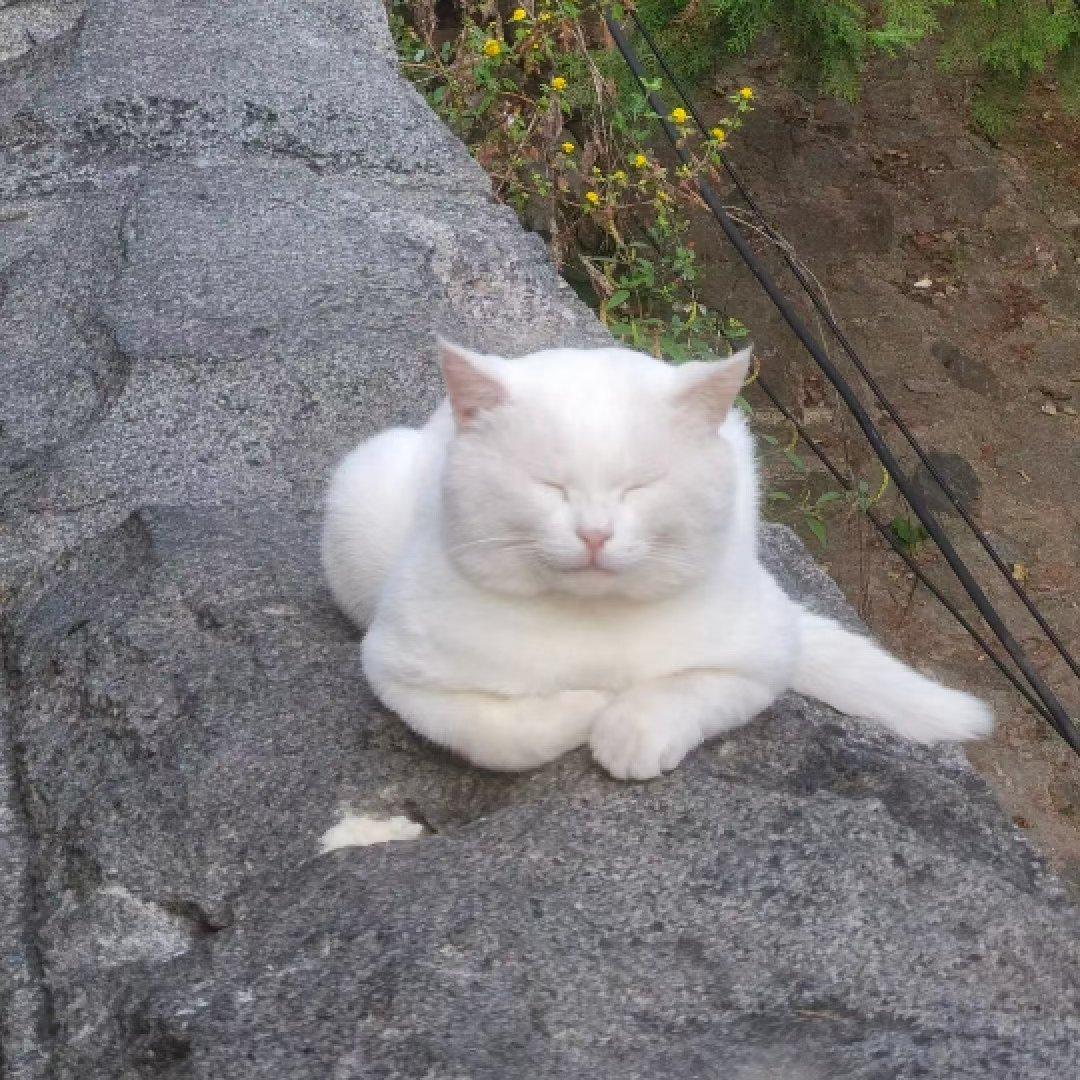 晨曦蔚蓝style0913