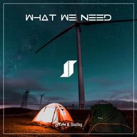 What We Need (Mike姜 Bootleg)