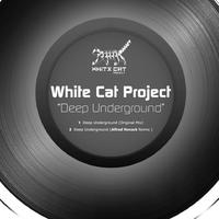 White Cat Project