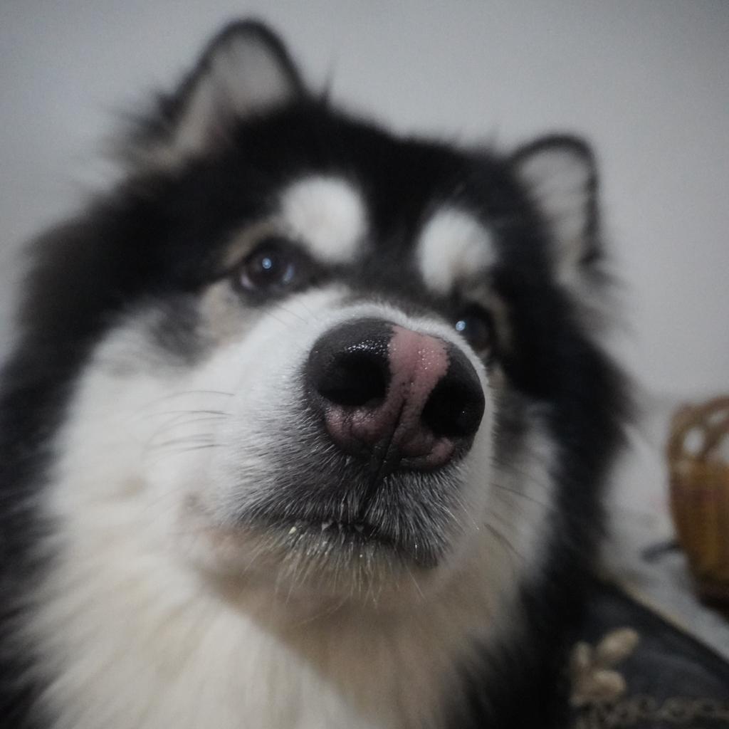 当妳比出C的手势