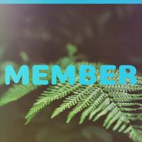 Member