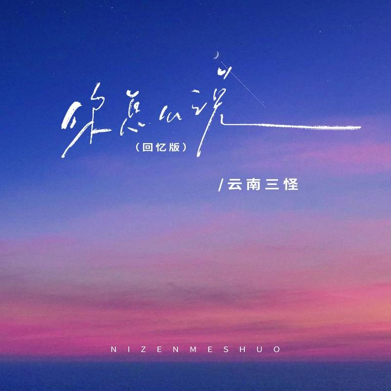 你怎么说 (DJ阿本版)封面