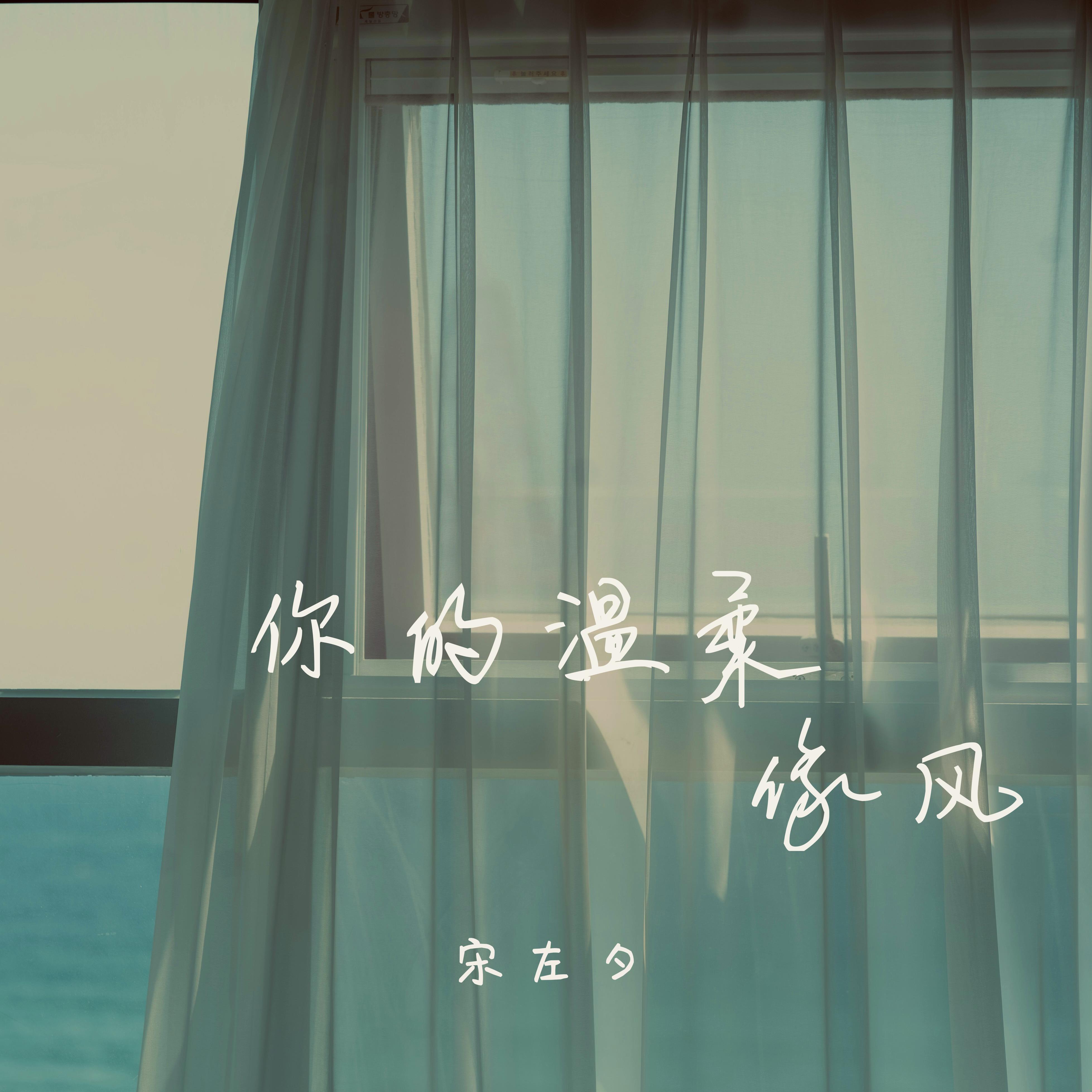 你的温柔像风_宋左夕_你的温柔像风 | 在线播放_你的温柔像风歌词_你的温柔像风下载 | 网易云音乐