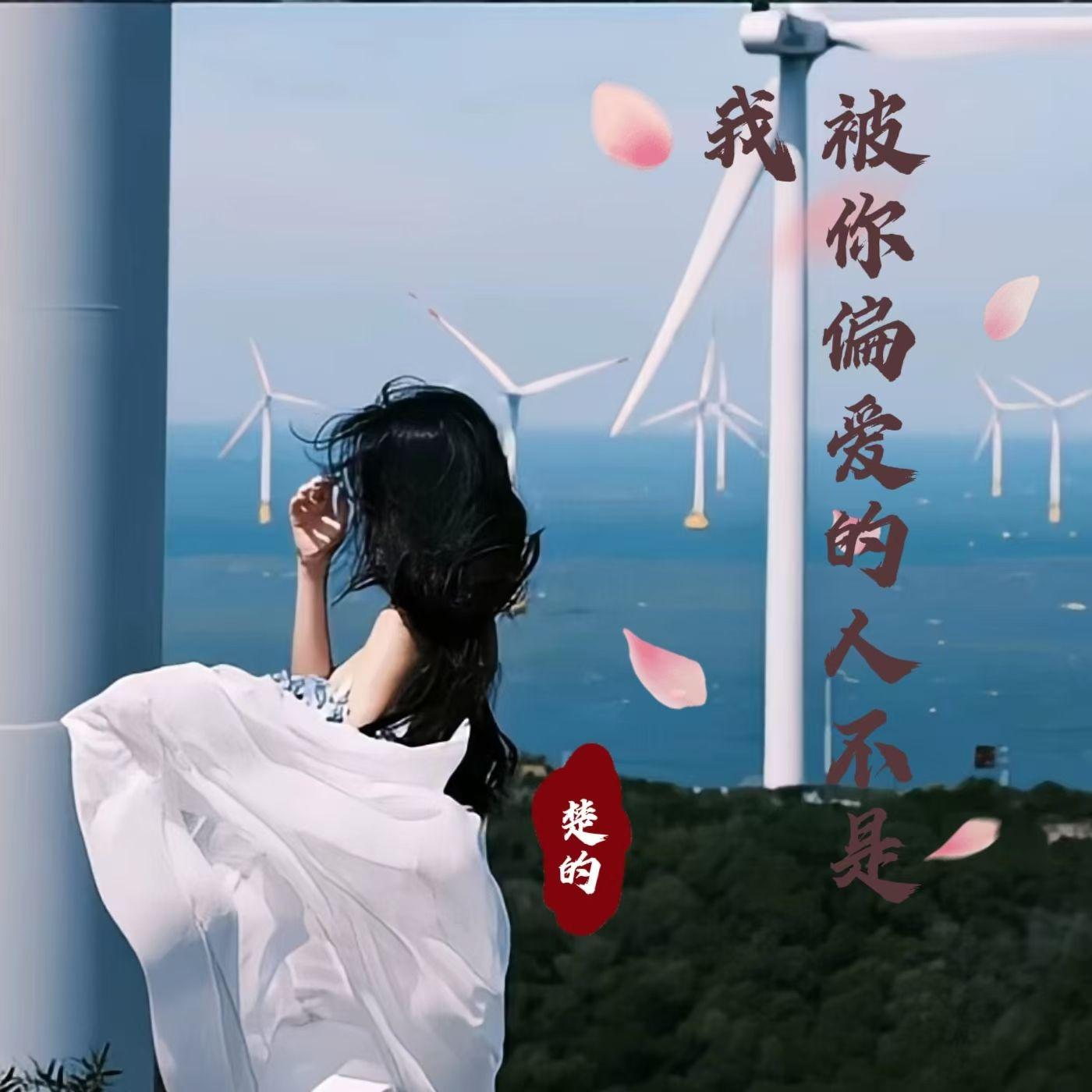 被你偏爱的人不是我封面