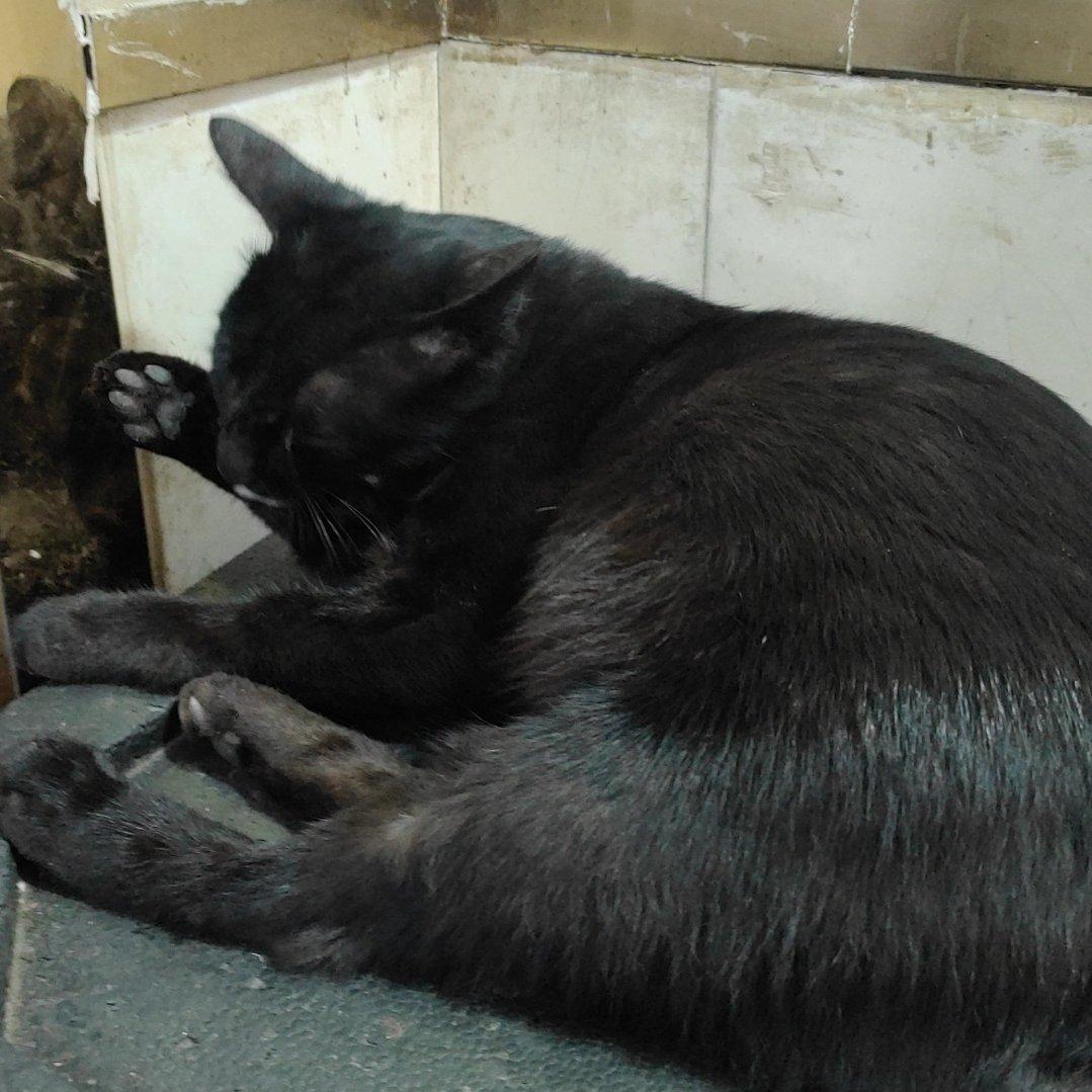 拇指琴伴你入眠3月1日 15点22分