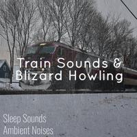 Train Sounds and Blizzard Howling