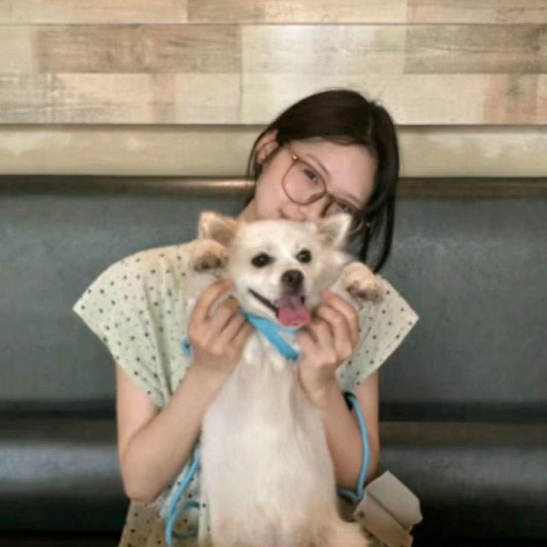 爱要怎么说出口封面